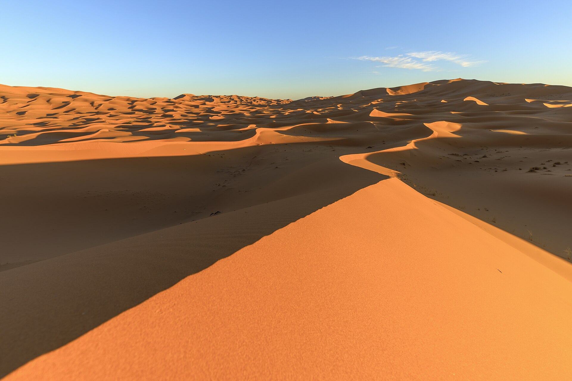 Dunes d'Erg Chebbi à la lumière du soir